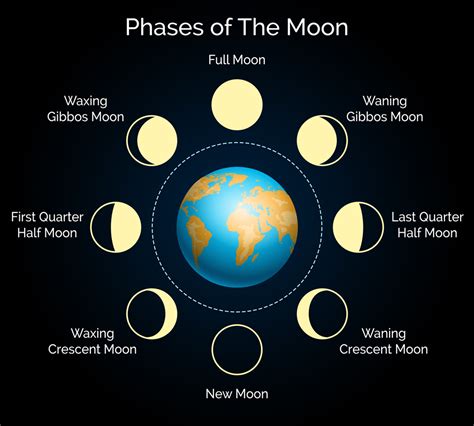 Moon Phases today .